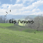 Simple White Texts Beach Instagram Post-3